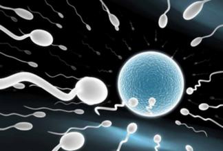 1467689395674201.jpg 无精症.jpg